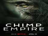 سریال امپراتوری شامپانزه ها فصل 1 قسمت 4 Chimp Empire S1 E4 2023 2023