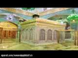 امام رضا را دوست داری لایک کن