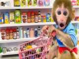 Monkey Baby Bon Bon eats watermelon with puppy and swims with ducklings at the