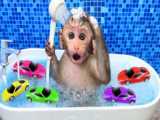Baby Monkey Bon Bon cooking french fries and swims with the funny duckling in