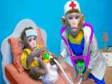 چالش بچه میمون _ میمون بازیگوش _ برنامه کودک میمون _ میمون بامزه ۲۰۲۴