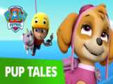 PAW Patrol  Pups Save the Runaway Turtles  Rescue Episode  PAW Patrol Official