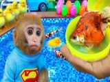 Baby Monkey Oxy Gets A Stomachache  Crying | Oxy Animal Farm