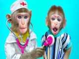 بچه میمون بازیگوش - کلیپ حیوانات خانگی - بچه میمون بامزه