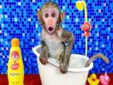 Baby monkey Oxy baths in the bathtub and plays with puppy and duckling in the