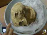 کشف بقایای انسانی و حیوانی در تخت جمشید کلیپ ترسناک قدیمی