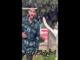 طنز هلیا فارسی - فامیل موقع عید دیدنی - کلیپ خنده دار طنز عید دیدنی
