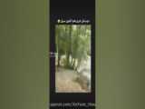 قسمت حذف شده ی تام و جری