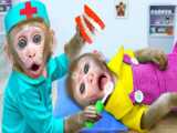 Baby Monkey Bi Bon and duck  Animal home monkey  funny story