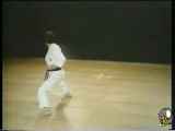 آموزش کاتای کاراته شوتوکان جیون