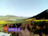 گل ها