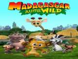 سریال ماداگاسکار: کمی وحشی فصل 7 قسمت 1 زیرنویس فارسی Madagascar: A Little Wild 2020