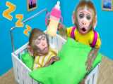 Baby monkeys cute harvest fruit to feed ducklings and puppies kitten rabbit |