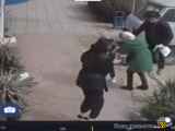 ویدیویی از حمله سگ ولگرد به بچه