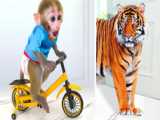 میمون بازیگوش - میمون باهوش - چالش بچه میمون - سرگرمی کودک - میمون بچه جدید ۲۰۲۴