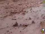 سیل وحشتناک در امستجان یکی از روستاهای شبستر روز جمعه ۱۴ اردیبهشت