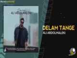 موزیک ویدیو جدید علی عبدالمالکی « دلم تنگه »