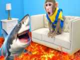 Monkey Baby Bon Bon meets a shark in the toilet and eats a lollipop with duckl
