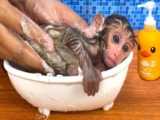 Monkey Baby Bon Bon Pretends to be a firefighter and naughty with Ducklings in
