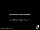 در زمان پلک زدن ما درجهان چه می گذرد؟عجایب خارق العاده