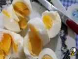 فواید مصرف تخم مرغ هر روز