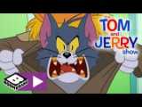 انیمیشن تام و جری، موش و گربه جدید