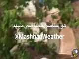 سیل وحشتناک و آب بردن خودروها در سیدی مشهد