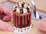 Satisfying Miniature Fudge Chocolate Cake Decorating Tutorial Amazing Desser