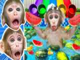 Monkey Nana challenges with Amazing Animal Jelly and plays with Ducklings | Mo