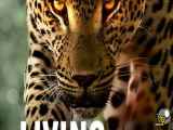 دانلود فیلم Living with Leopards 2024