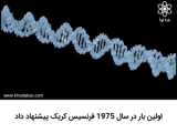 تیپ سوال انتخاب دو کلمه از سرنوشت پروتئین ها در سلول