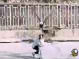 شکار کودک توسط عقاب