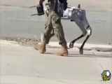 سگ ربات نظامی تو چین
