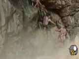 کلیپی ترند شده در هند از نجات یک زن و کودک از مرگ در آبشار انایواری توسط چند مرد