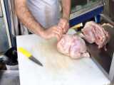 مرغ بندری آماده است