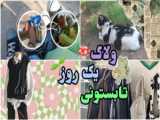 ولاگ یک روز با منꉂ(ˊᗜˋ*)
