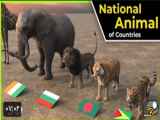 حیوان های ملی جهانی در این ویدیو حیوانات ملی همه کشورها را در مقیاس سه بعدی نشان