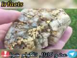 طلایی (۱۸)