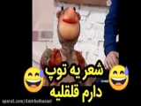 یع توپ دارم قلقلیره