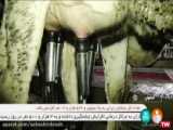 یاسین رامین درتلاش برای فرار از پاسخگویی به واردات شیر خشک فاسد