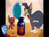 Tom  Jerry on the Hunt | Tom and Jerry | @BoomerangUK