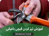 آموزش و ترفند های باغبانی را یاد بگیرید