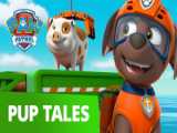 PAW Patrol  Pups Save Three Little Pigs  Rescue Episode  PAW Patrol Official
