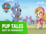 PAW Patrol  Abby Hatcher Mashup! Dance Party!  PAW Patrol Official  Friends