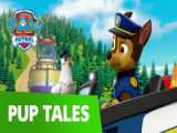 PAW Patrol  Pups Save the Polar Bears  Rescue Episode  PAW Patrol Official  F