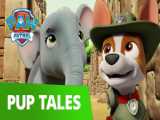 PAW Patrol  Pups Save the Maze Explorers  Rescue Episode  PAW Patrol Official