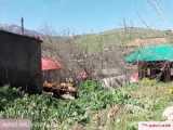 زندگی در روستا