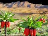 خـاطـرات جــاده_پـارت1 بـاصـدای عـلی اصـحــابـی