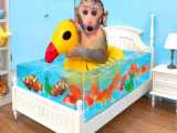 Monkey Baby Bon Bon eat jelly egg and Funny stories with ducklings in the swim