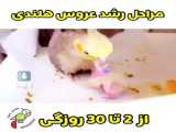 مراحل تولید عروس هلندی
